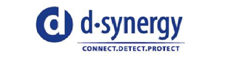 Banner image for D-Synergy Tech Systems Pte Ltd